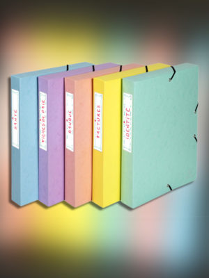 Lot préparer 2024 enveloppes budget - À imprimer - Elisa Lehe Design